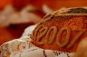 Dożynki 2007