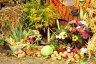 Dożynki 2012