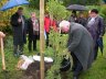 Pięć lat współpracy Rzepina i Hoppegarten